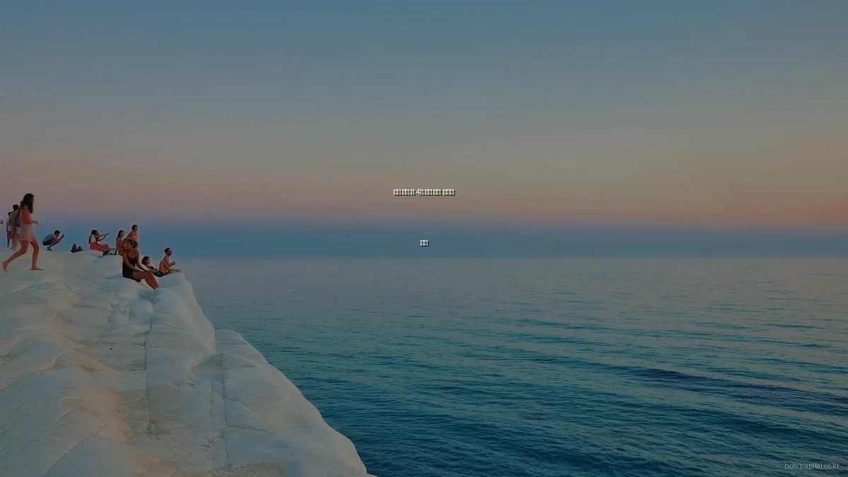 호텔 예약 앱 4종 비교 분석: 상황별 추천