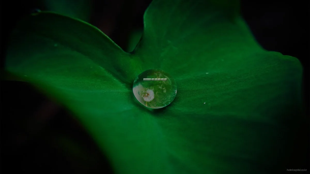 호텔캐피탈을 통한 이색 호텔 예약 후기