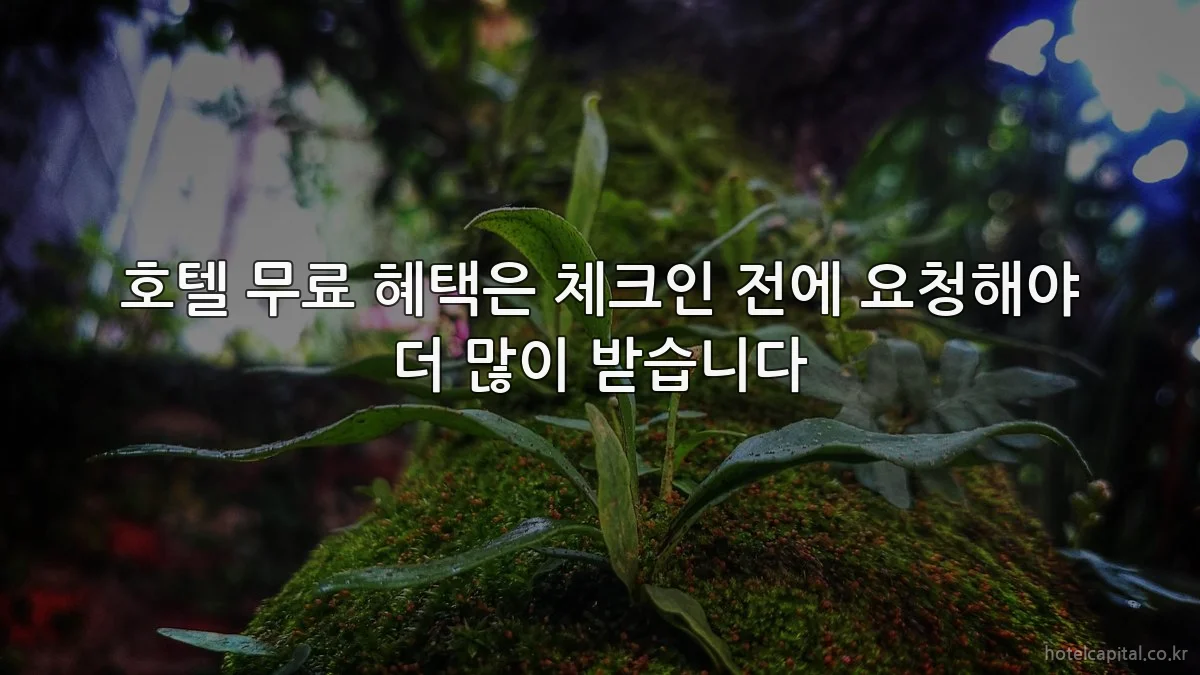 호텔 무료 혜택은 체크인 전에 요청해야 더 많이 받습니다