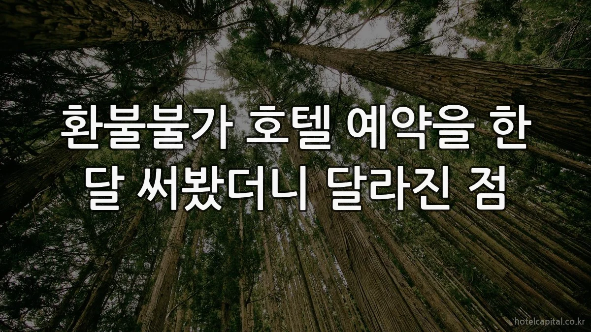 환불불가 호텔 예약을 한 달 써봤더니 달라진 점