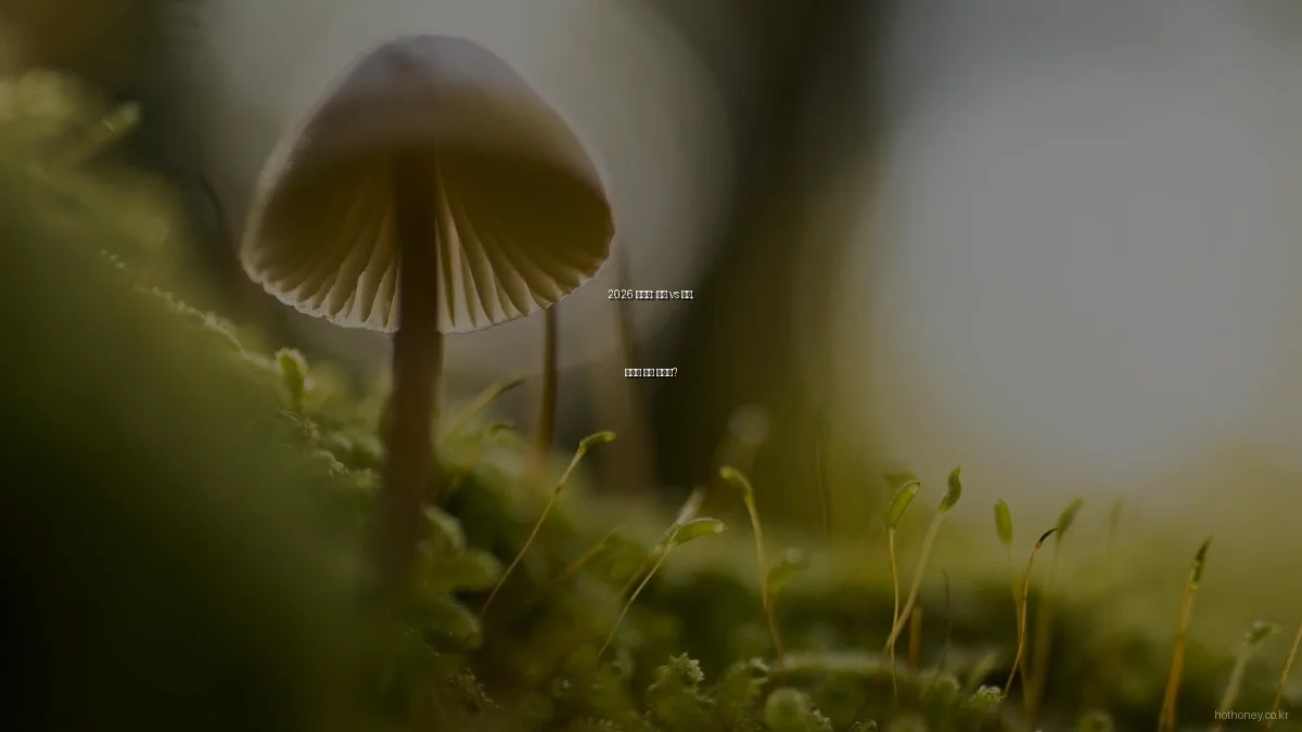 2026 트렌드: 패션 vs 뷰티, 나에게 맞는 선택은?