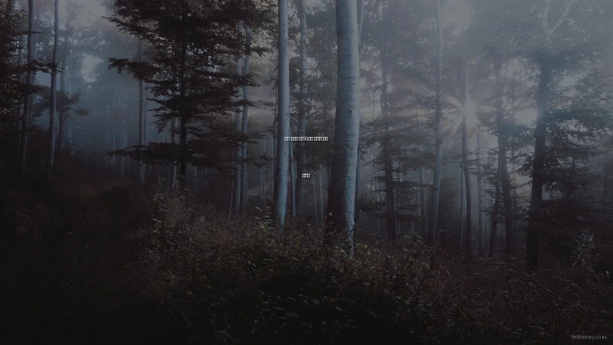 쇼핑 예산별 패션&뷰티 아이템 추천 가이드