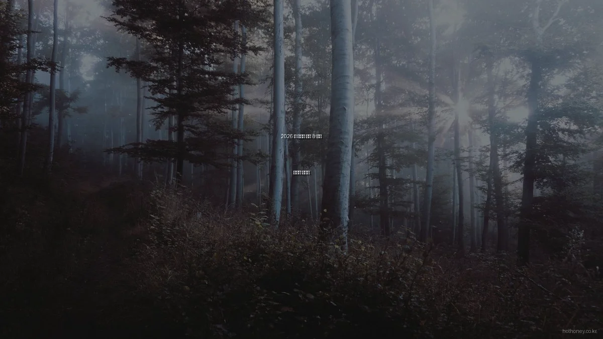 2026 핫 트렌드 패션 & 뷰티 초보자 가이드