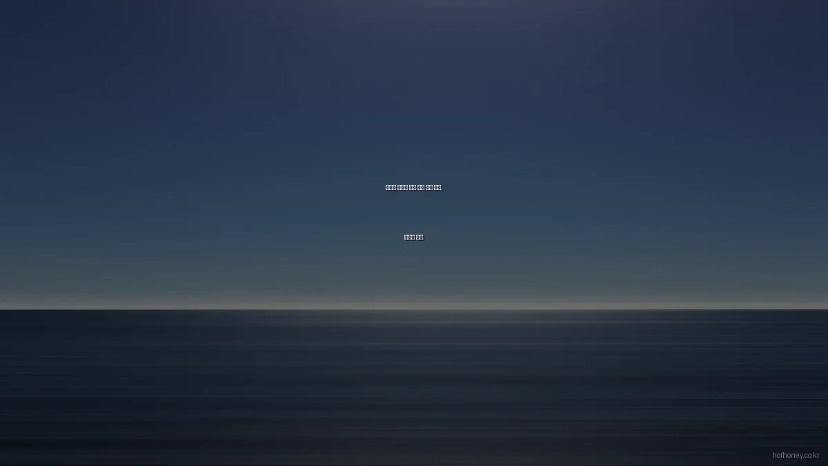 핫허니 트렌디 패션 제품 사용 후기, 장단점 분석