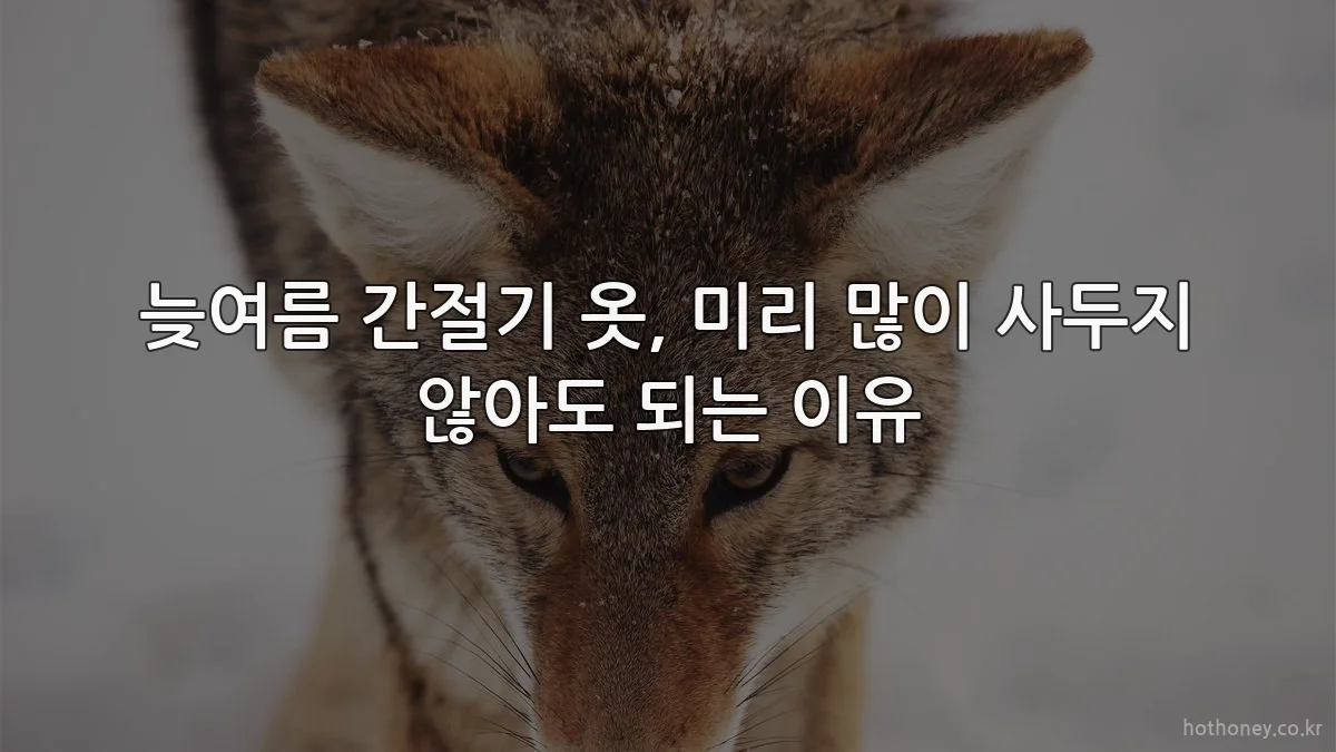 늦여름 간절기 옷, 미리 많이 사두지 않아도 되는 이유