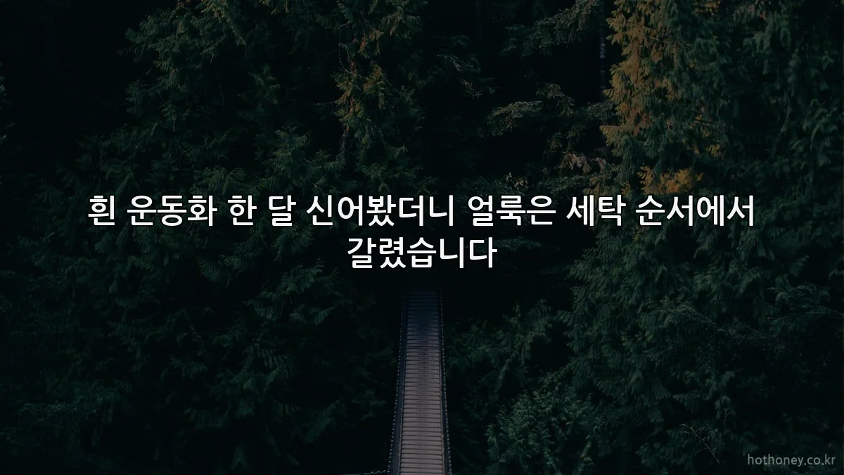 흰 운동화 한 달 신어봤더니 얼룩은 세탁 순서에서 갈렸습니다