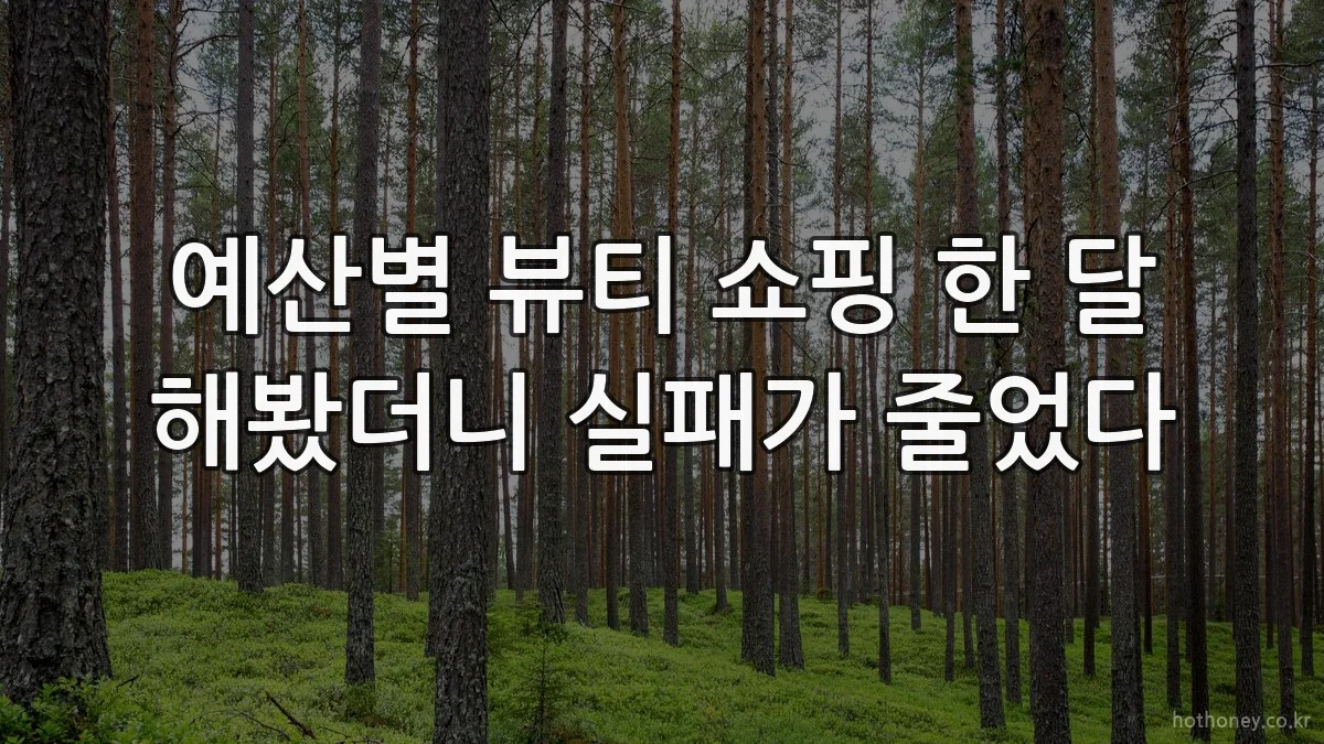 예산별 뷰티 쇼핑 한 달 해봤더니 실패가 줄었다