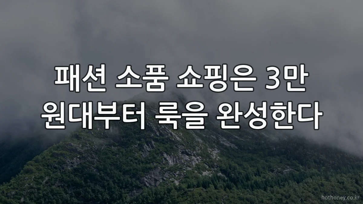 패션 소품 쇼핑은 3만 원대부터 룩을 완성한다