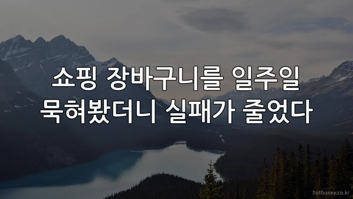 쇼핑 장바구니를 일주일 묵혀봤더니 실패가 줄었다