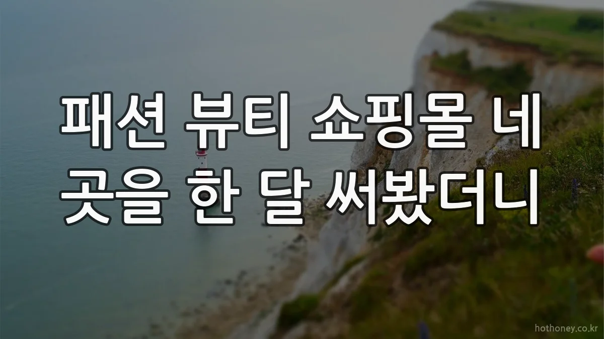 패션 뷰티 쇼핑몰 네 곳을 한 달 써봤더니