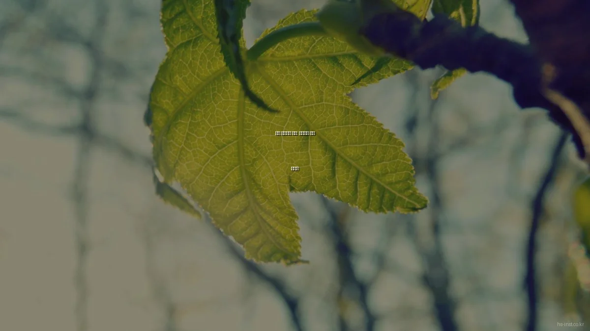 봄철 프로젝트 관리: 성공적인 시작 가이드