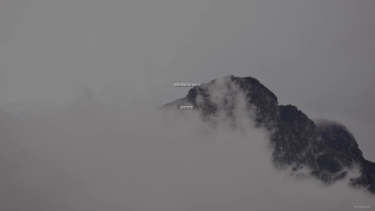 효율적인 프로젝트 관리: 워터폴 vs 애자일 대결 분석