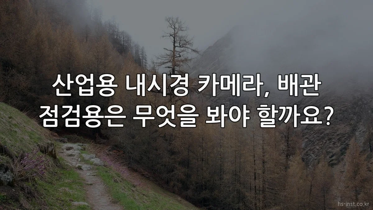 산업용 내시경 카메라, 배관 점검용은 무엇을 봐야 할까요?