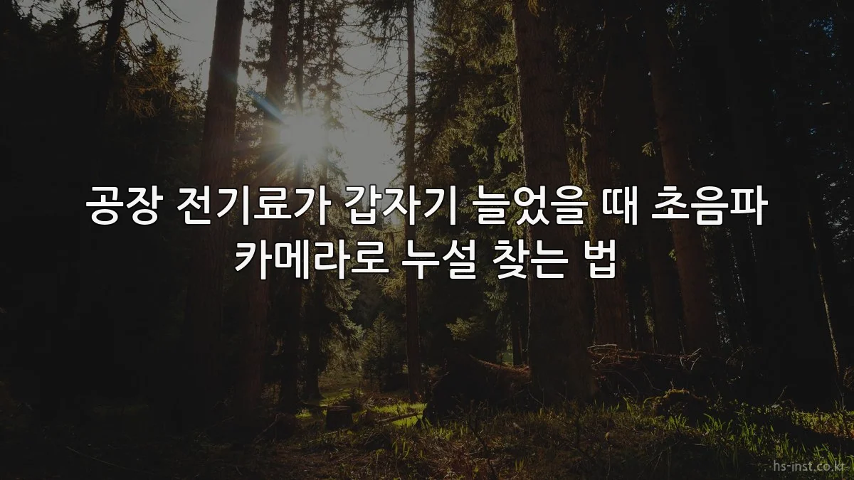 공장 전기료가 갑자기 늘었을 때 초음파 카메라로 누설 찾는 법