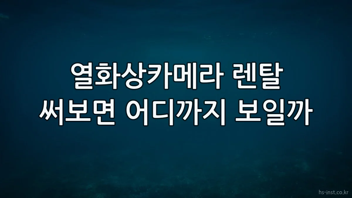 열화상카메라 렌탈 써보면 어디까지 보일까