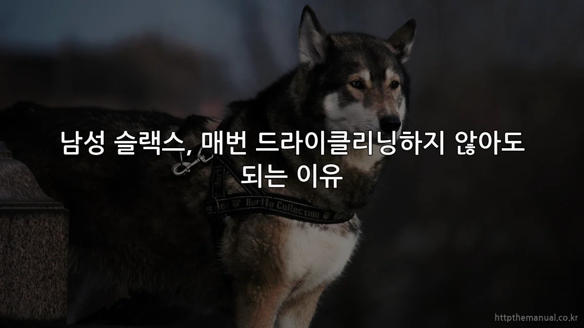 남성 슬랙스, 매번 드라이클리닝하지 않아도 되는 이유