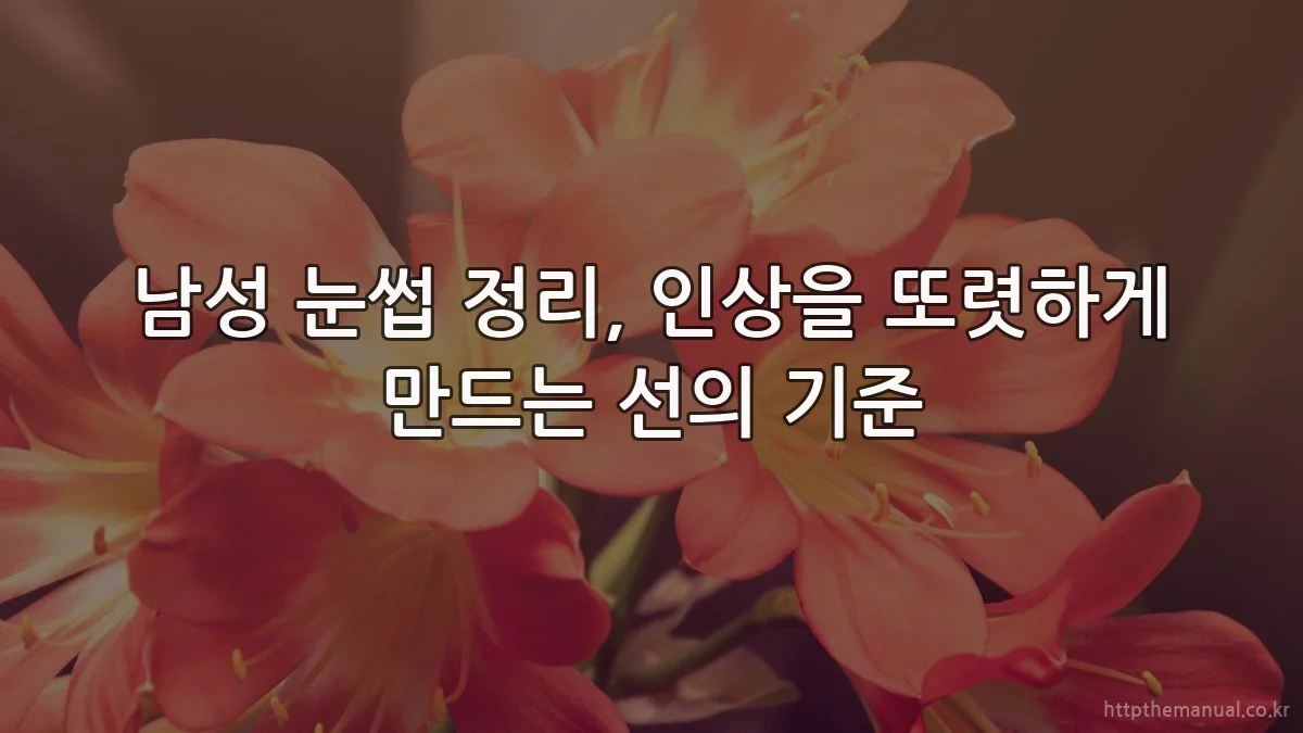 남성 눈썹 정리, 인상을 또렷하게 만드는 선의 기준