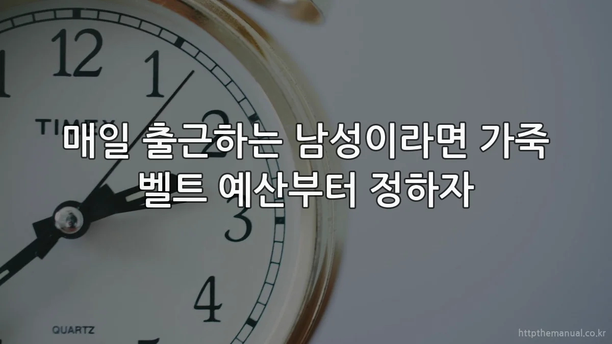 매일 출근하는 남성이라면 가죽 벨트 예산부터 정하자