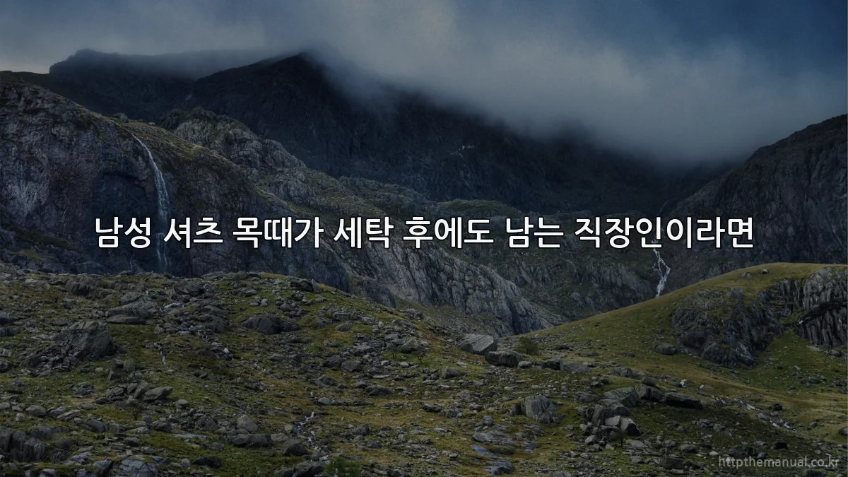 남성 셔츠 목때가 세탁 후에도 남는 직장인이라면