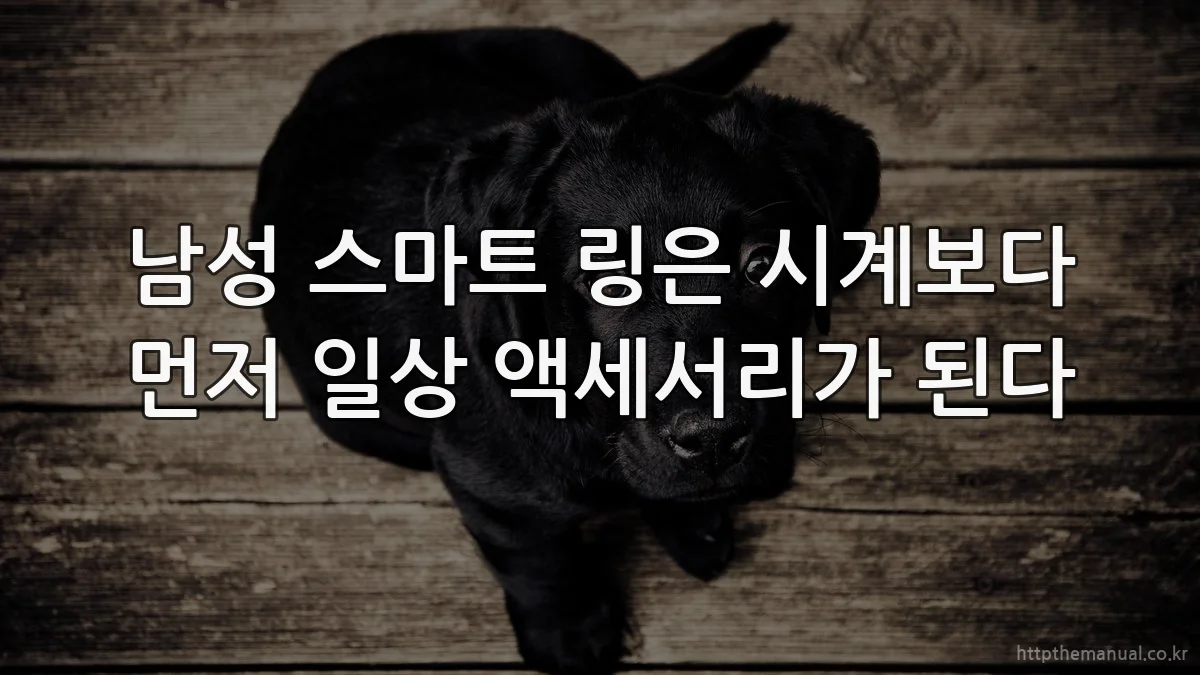 남성 스마트 링은 시계보다 먼저 일상 액세서리가 된다