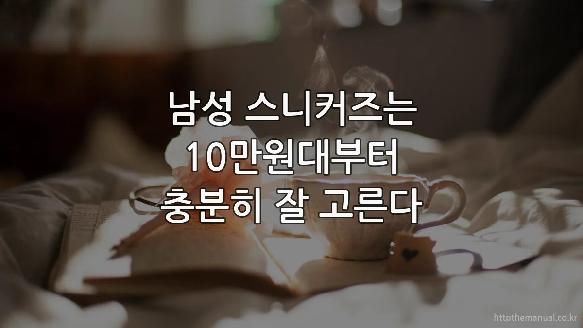 남성 스니커즈는 10만원대부터 충분히 잘 고른다