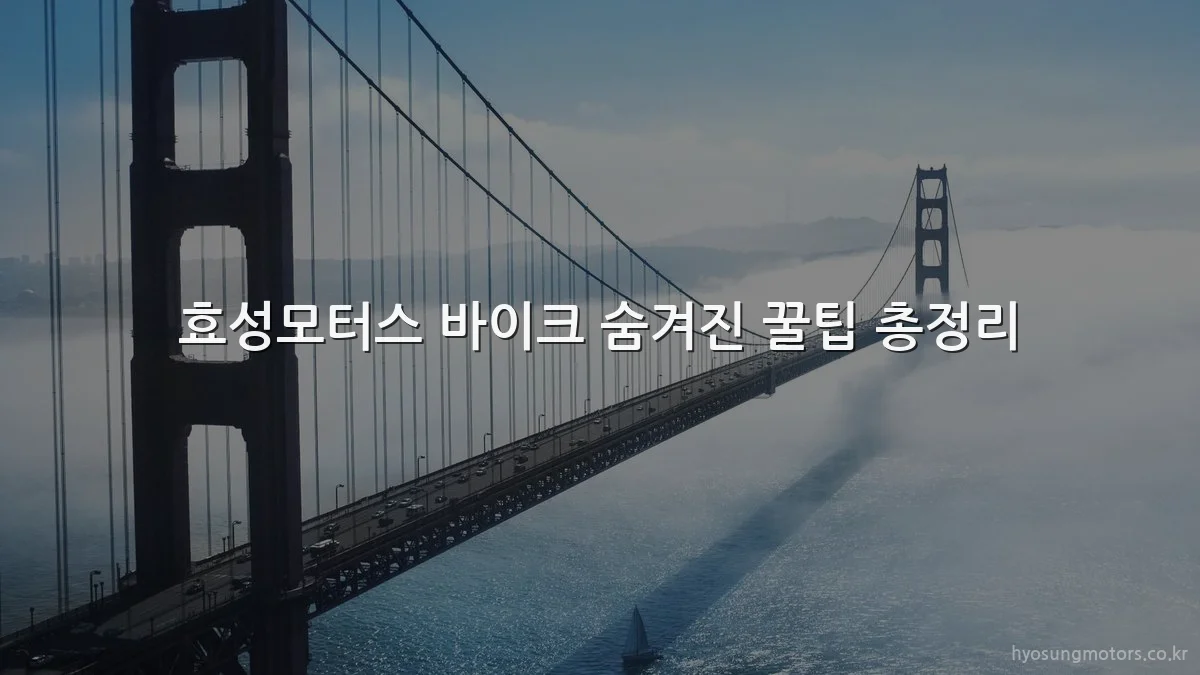 효성모터스 바이크 숨겨진 꿀팁 총정리