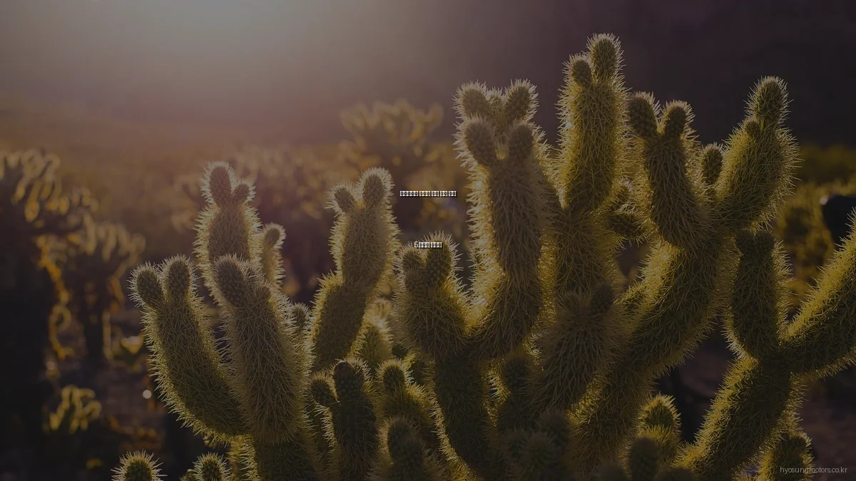 효성모터스 바이크 운영 실패 사례 5가지와 예방법