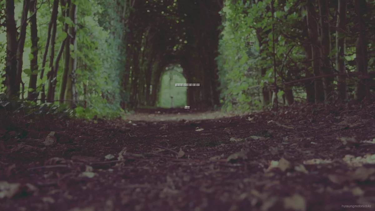 효성모터스 바이크 엔진 문제 해결 가이드