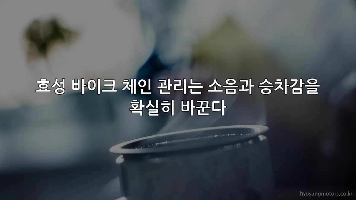 효성 바이크 체인 관리는 소음과 승차감을 확실히 바꾼다