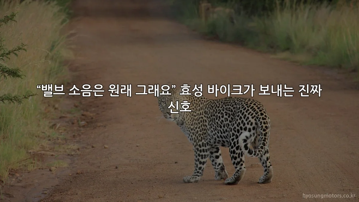 “밸브 소음은 원래 그래요” 효성 바이크가 보내는 진짜 신호