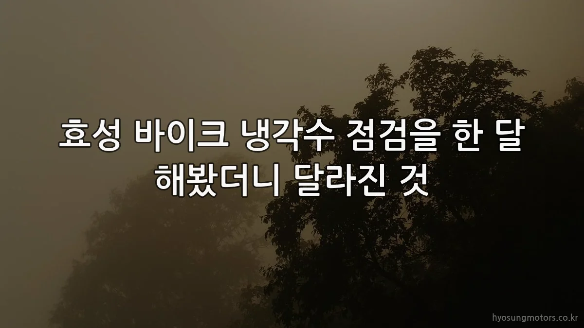 효성 바이크 냉각수 점검을 한 달 해봤더니 달라진 것