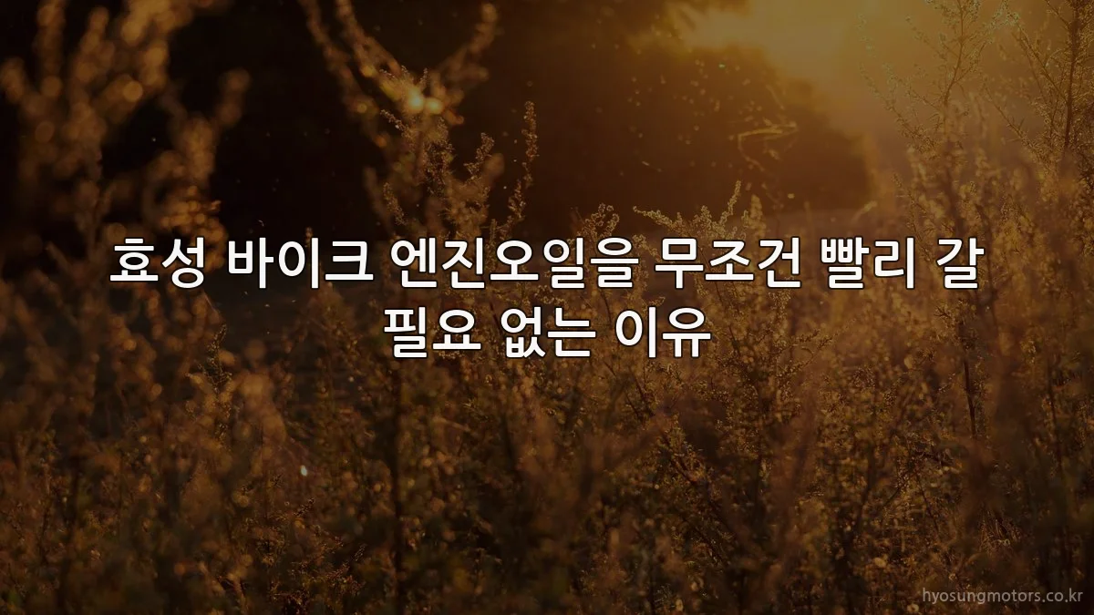효성 바이크 엔진오일을 무조건 빨리 갈 필요 없는 이유