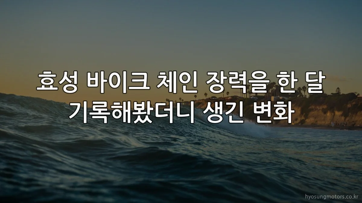 효성 바이크 체인 장력을 한 달 기록해봤더니 생긴 변화