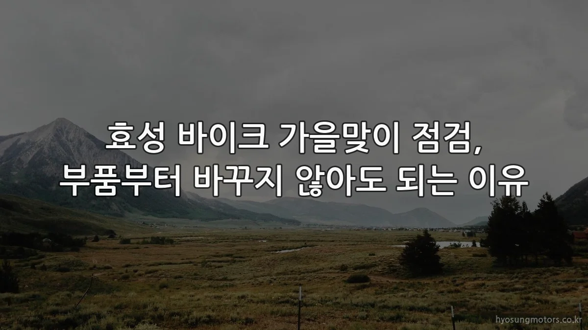 효성 바이크 가을맞이 점검, 부품부터 바꾸지 않아도 되는 이유