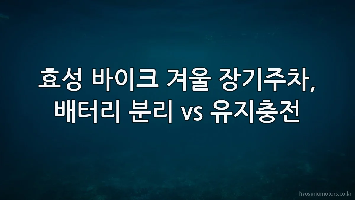 효성 바이크 겨울 장기주차, 배터리 분리 vs 유지충전