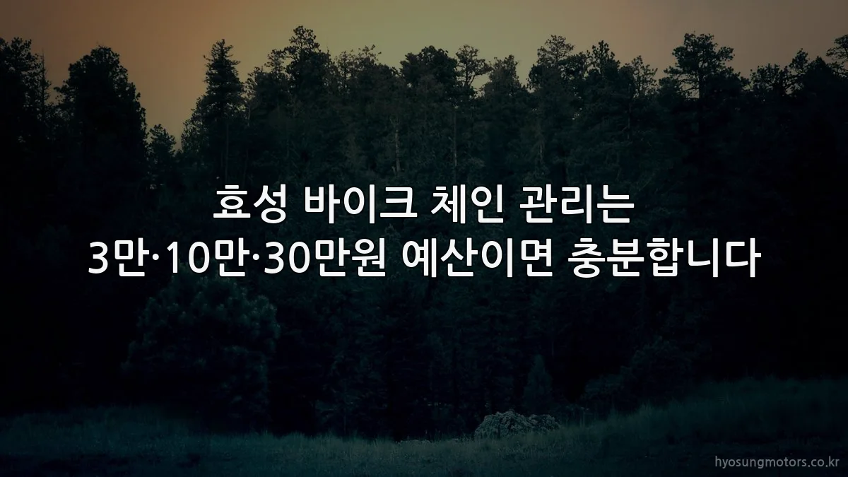 효성 바이크 체인 관리는 3만·10만·30만원 예산이면 충분합니다