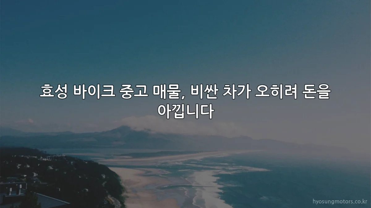 효성 바이크 중고 매물, 비싼 차가 오히려 돈을 아낍니다