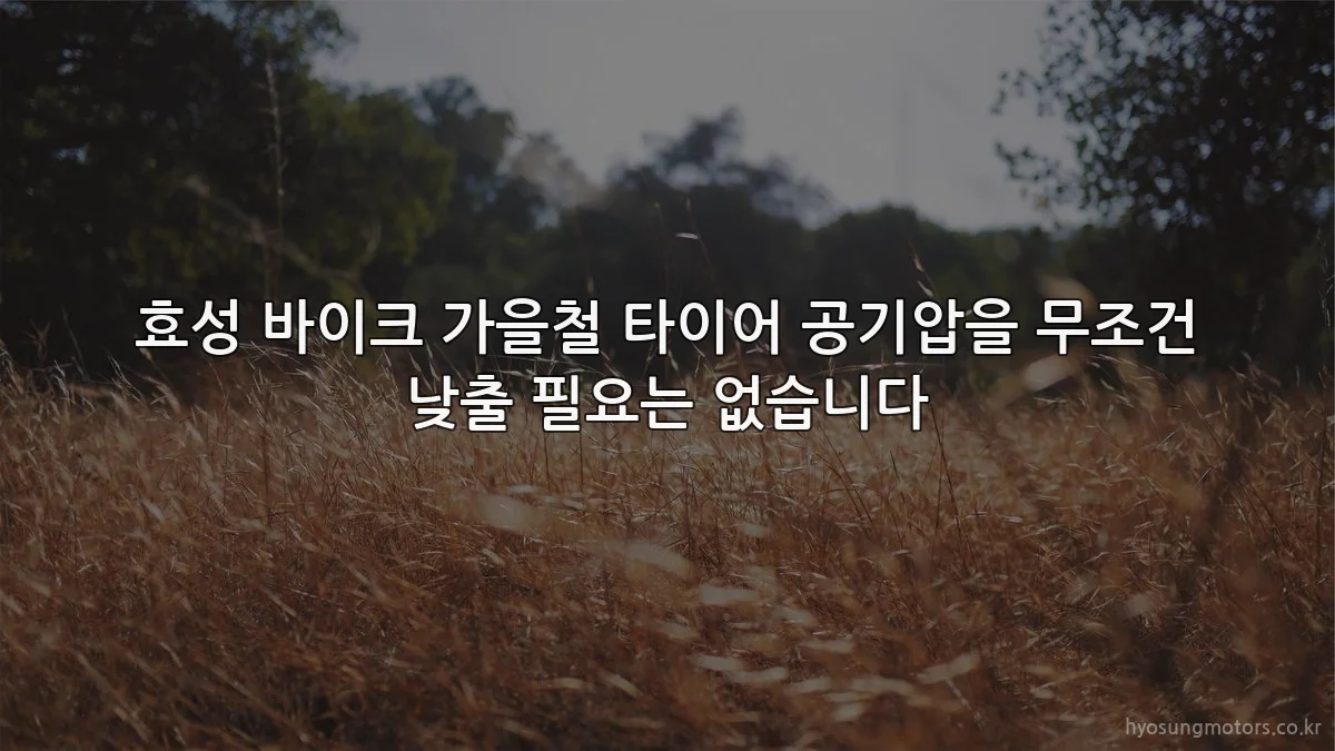 효성 바이크 가을철 타이어 공기압을 무조건 낮출 필요는 없습니다