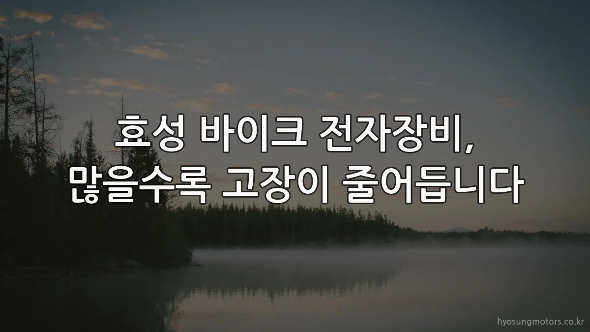 효성 바이크 전자장비, 많을수록 고장이 줄어듭니다