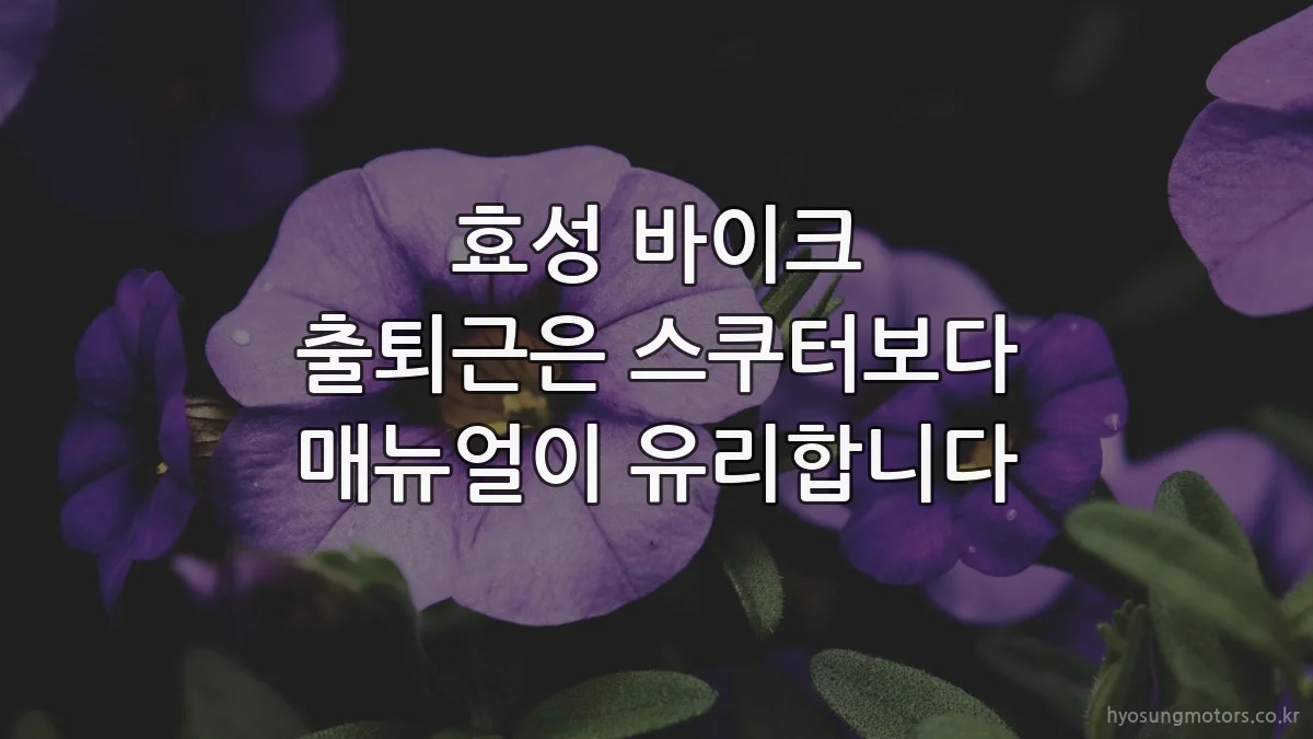 효성 바이크 출퇴근은 스쿠터보다 매뉴얼이 유리합니다