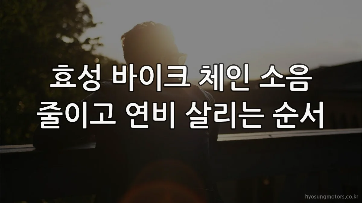 효성 바이크 체인 소음 줄이고 연비 살리는 순서
