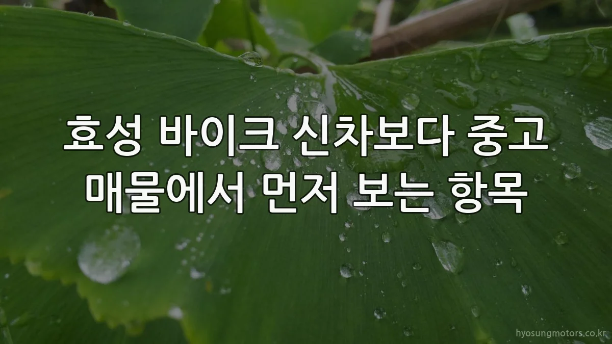 효성 바이크 신차보다 중고 매물에서 먼저 보는 항목