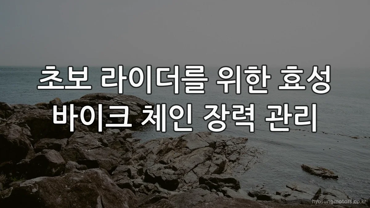 초보 라이더를 위한 효성 바이크 체인 장력 관리