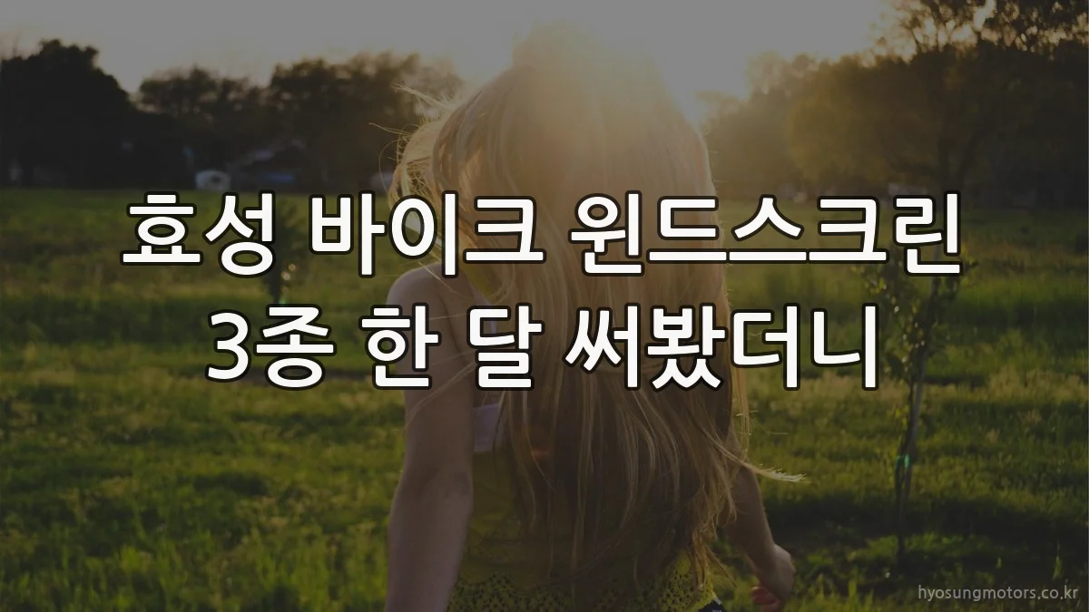 효성 바이크 윈드스크린 3종 한 달 써봤더니
