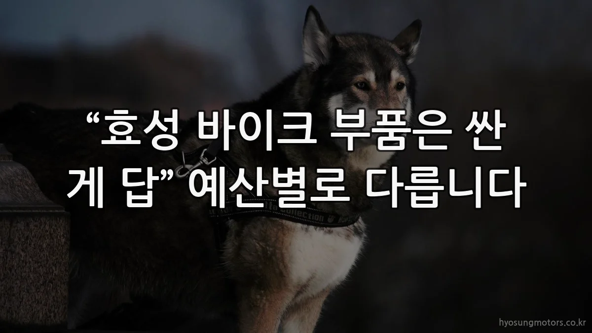 “효성 바이크 부품은 싼 게 답” 예산별로 다릅니다