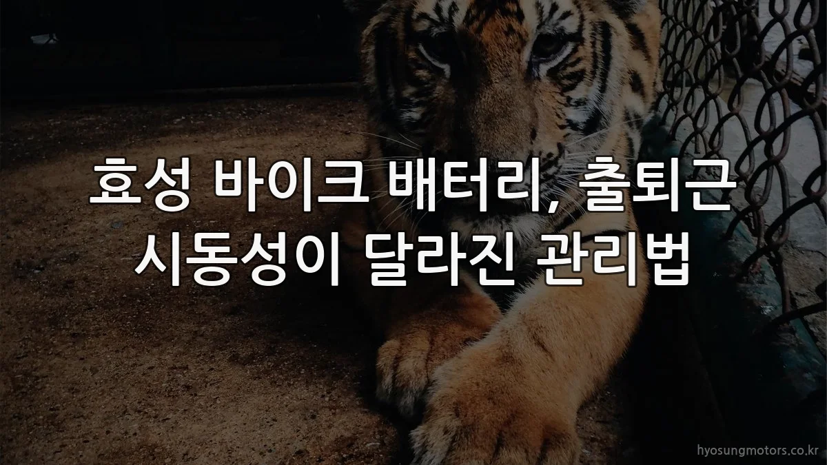 효성 바이크 배터리, 출퇴근 시동성이 달라진 관리법