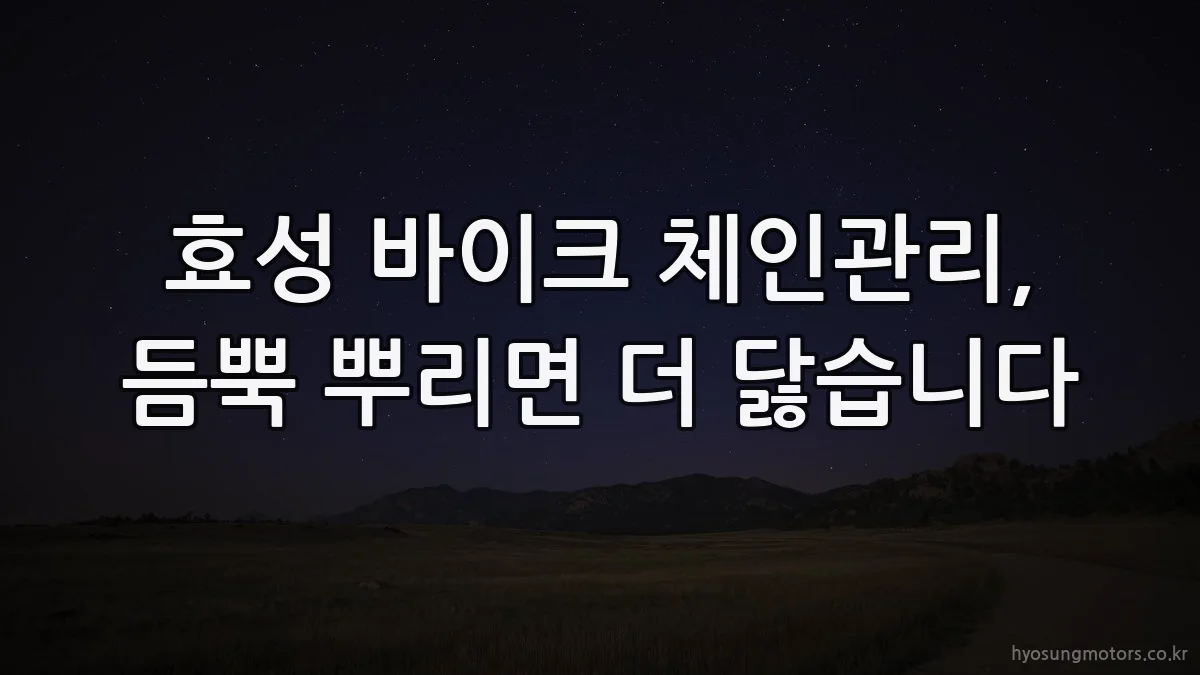 효성 바이크 체인관리, 듬뿍 뿌리면 더 닳습니다