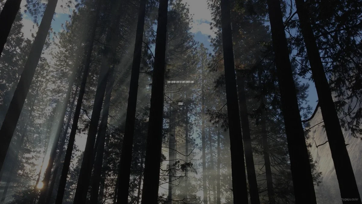 파주 아파트 분양 시 실패 사례와 극복 노하우