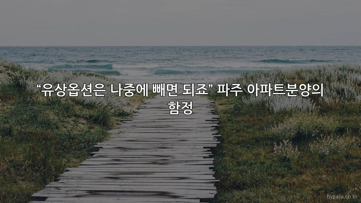 “유상옵션은 나중에 빼면 되죠” 파주 아파트분양의 함정