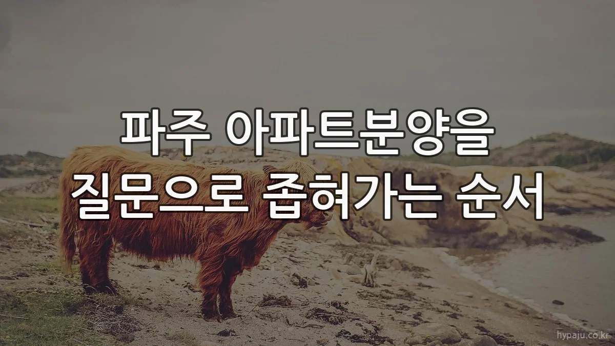 파주 아파트분양을 질문으로 좁혀가는 순서